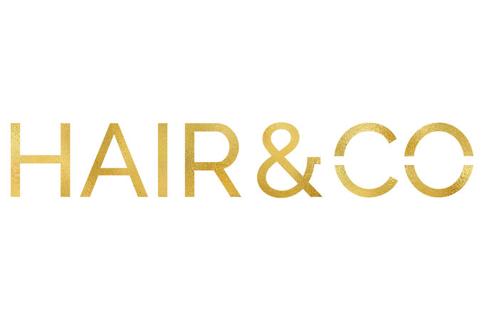 Hair & Co Logo